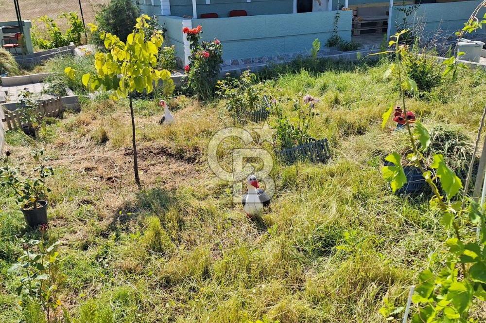 AHILI'DA ABONELERİ AÇIK AĞAÇLARI YETİŞMİŞ SATILIK EŞYALI BAHÇE
