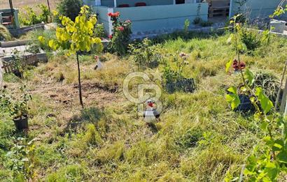 AHILI'DA ABONELERİ AÇIK AĞAÇLARI YETİŞMİŞ SATILIK EŞYALI BAHÇE