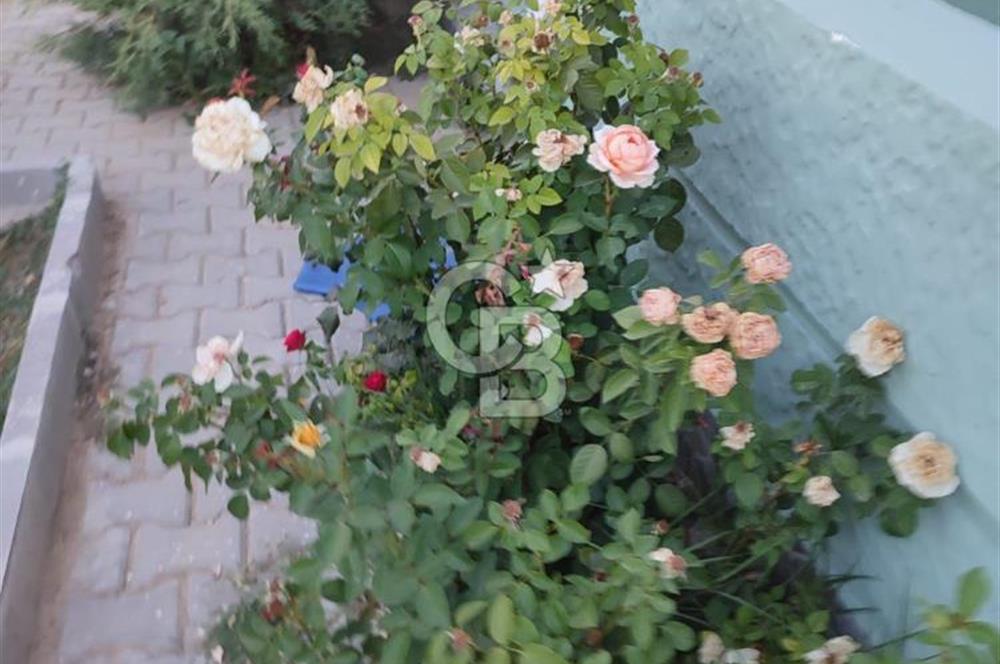 AHILI'DA ABONELERİ AÇIK AĞAÇLARI YETİŞMİŞ SATILIK EŞYALI BAHÇE
