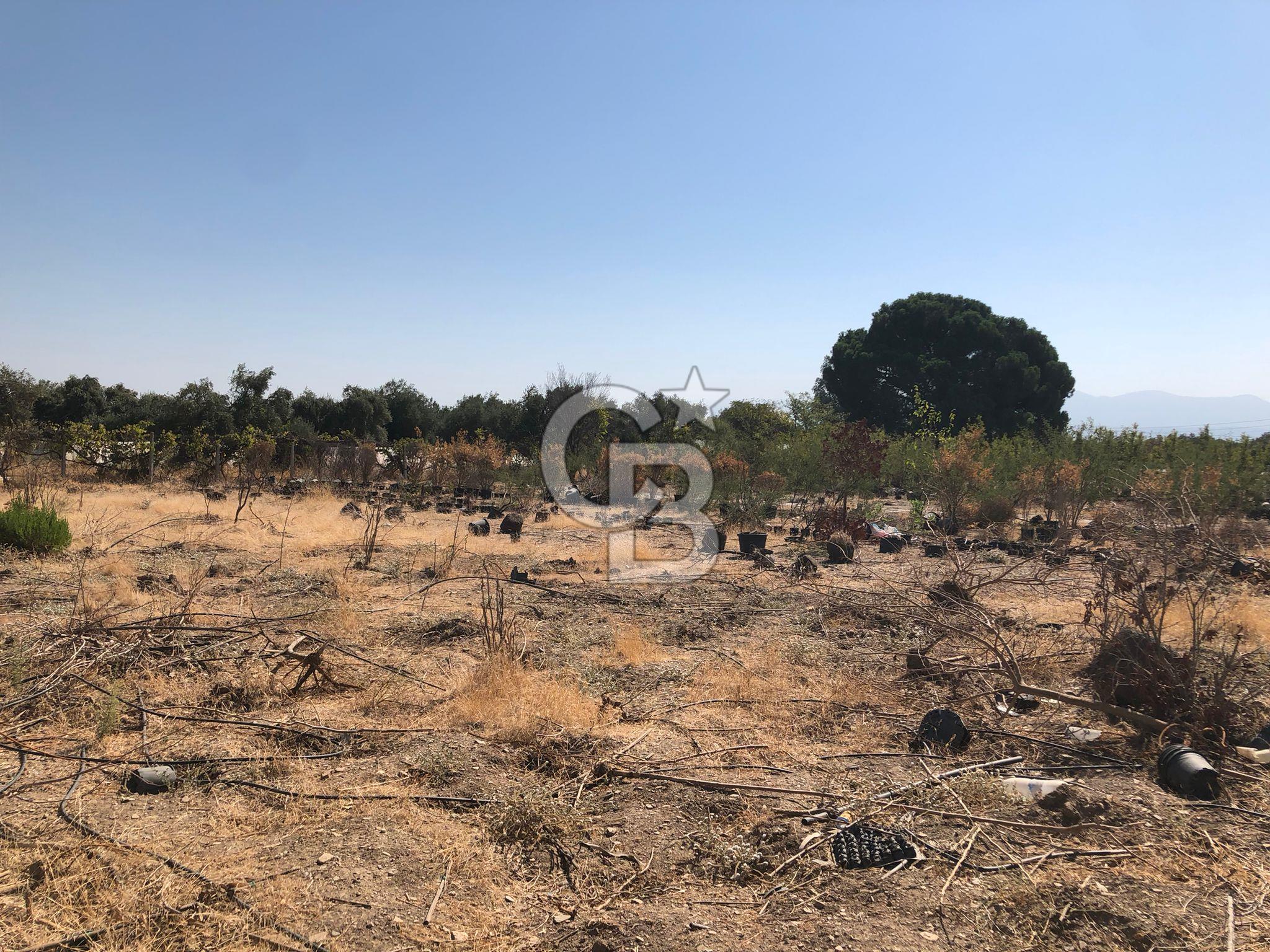 BAYINDIR ARIKBAŞI DA SATILIK 399 M2 İMARLI ARSA