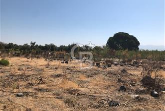 BAYINDIR ARIKBAŞI DA SATILIK 399 M2 İMARLI ARSA