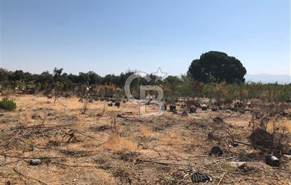 BAYINDIR ARIKBAŞI DA SATILIK 399 M2 İMARLI ARSA