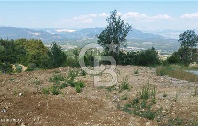 BURDUR DA GÖL MANZARALI TARLA