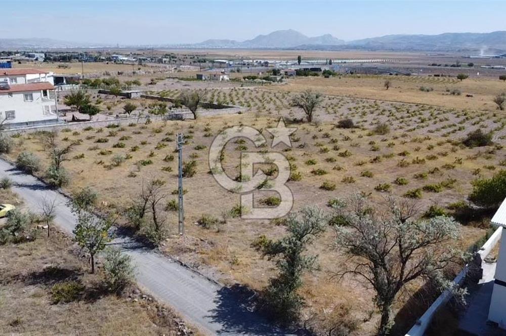 CB ANATOLİADAN NEVŞEHİR YOLU ÜZERİNDE GARİPÇE MAH.SİNDE BAĞ