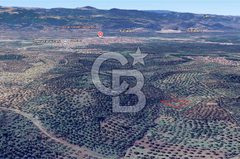 HAVRAN ÇAMDİBİ MAHALLESİNDE SATILIK 3 DÖNÜM ZEYTİNLİK