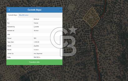 HAVRAN ÇAMDİBİ MAHALLESİNDE SATILIK 3 DÖNÜM ZEYTİNLİK