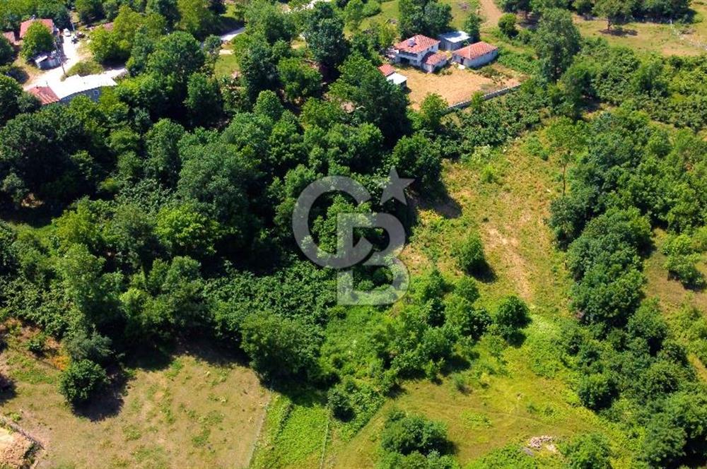 KANDIRA KAYMAZERİKLİ DE %40 KÖYİÇİ İMARLI YOL CEPHE 1248 m² ARSA