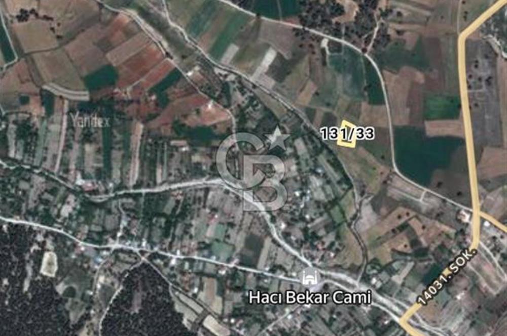 KORKUTELİ ÇOMAKLI DA SATILIK TEK TAPU TARLA