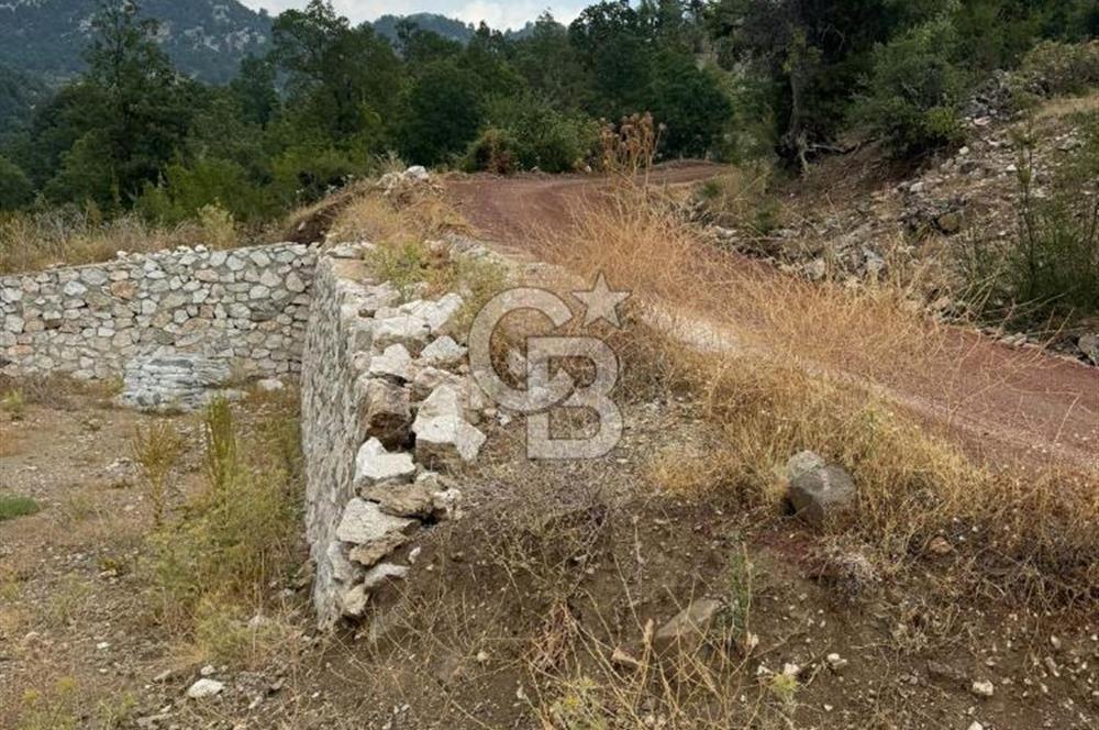 KUMLUCA KUZCA DA SATILIK TARLA
