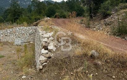 KUMLUCA KUZCA DA SATILIK TARLA