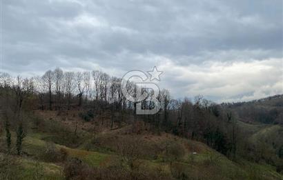 CB AKADEMİ KARTEPE AVLUBURUN DA SATILIK 2.673 m² FIRSAT ARSA