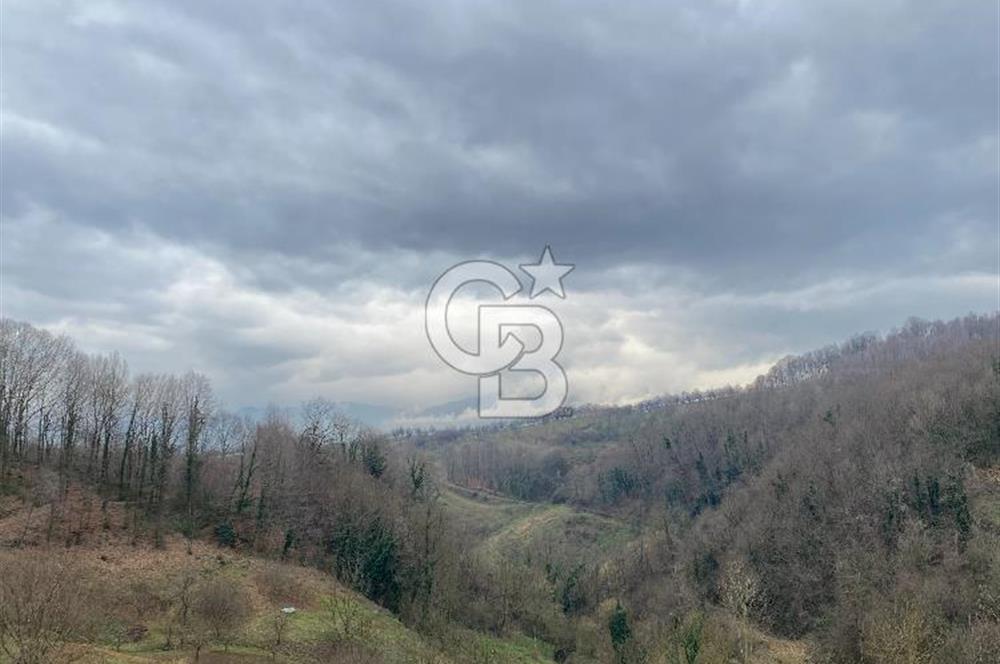 CB AKADEMİ KARTEPE AVLUBURUN DA SATILIK 2.673 m² FIRSAT ARSA