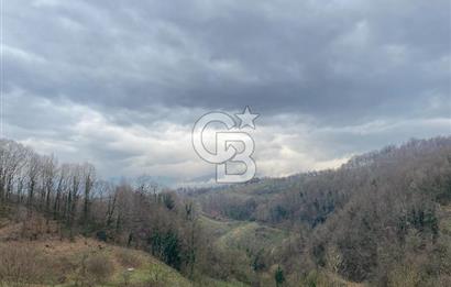 CB AKADEMİ KARTEPE AVLUBURUN DA SATILIK 2.673 m² FIRSAT ARSA
