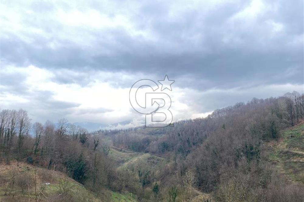 CB AKADEMİ KARTEPE AVLUBURUN DA SATILIK 2.673 m² FIRSAT ARSA