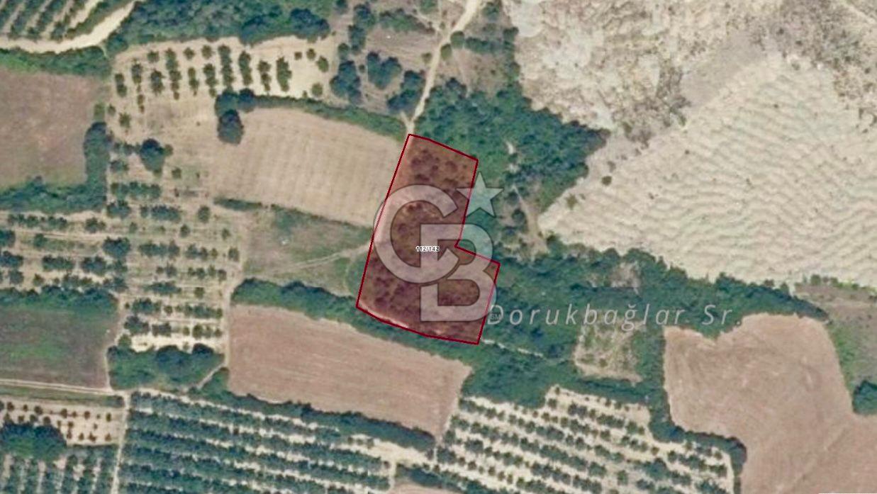 CB CLASS İNEGÖL HOCA SATILIK TARLA