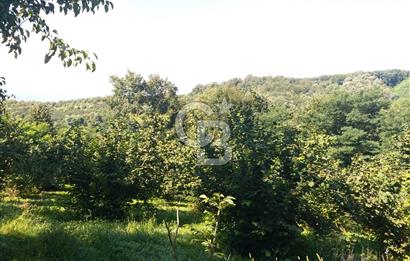 CB AKADEMİ KARTEPE AVLUBURUN DA SATILIK 2.673 m² FIRSAT ARSA
