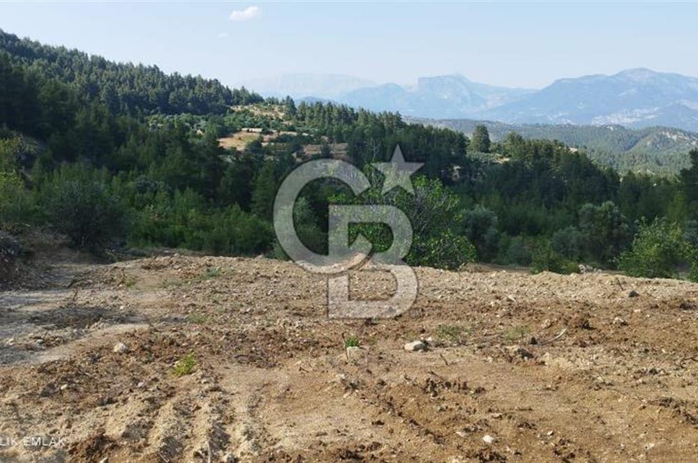 BURDUR DA GÖL MANZARALI TARLA