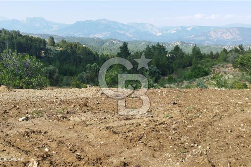 BURDUR DA GÖL MANZARALI TARLA