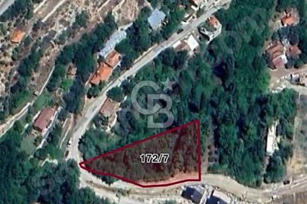 ANTALYA GEYİKBAYIRIN DA DOĞA MANZARALI TARLA