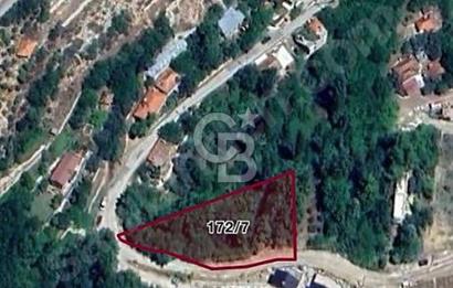 ANTALYA GEYİKBAYIRIN DA DOĞA MANZARALI TARLA