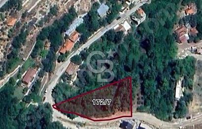 ANTALYA GEYİKBAYIRIN DA DOĞA MANZARALI TARLA