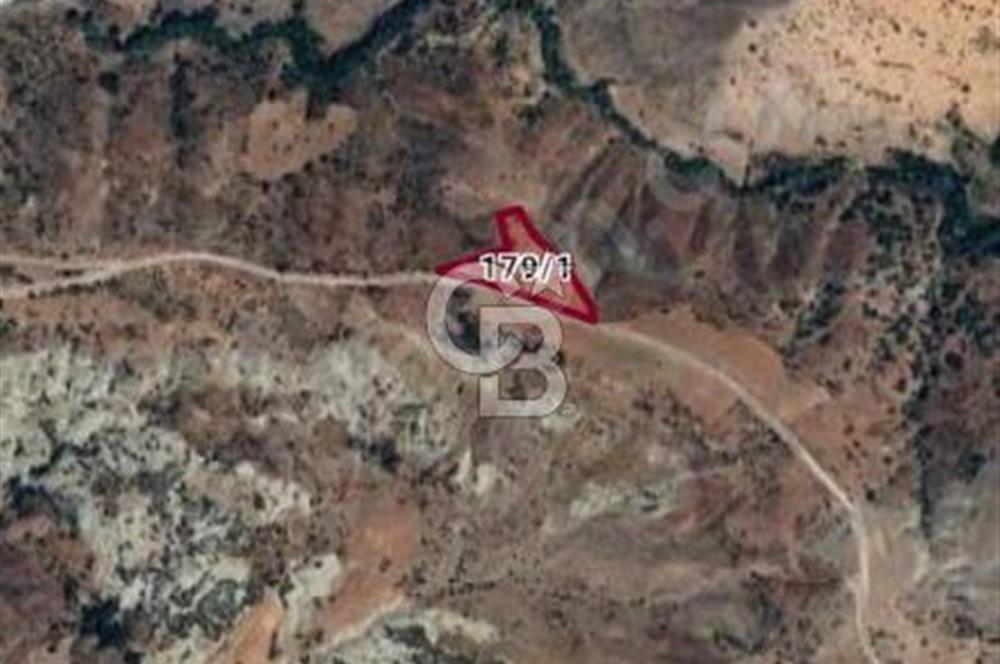 BURDUR ÇAVDIR DA YOL KENARI SATILIK TARLA