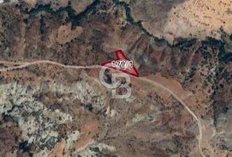 BURDUR ÇAVDIR DA YOL KENARI SATILIK TARLA