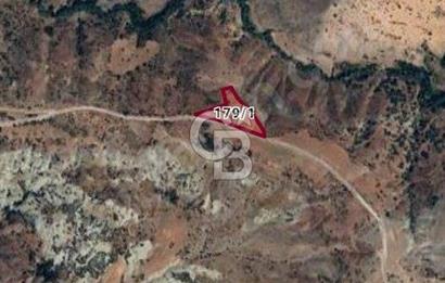 BURDUR ÇAVDIR DA YOL KENARI SATILIK TARLA