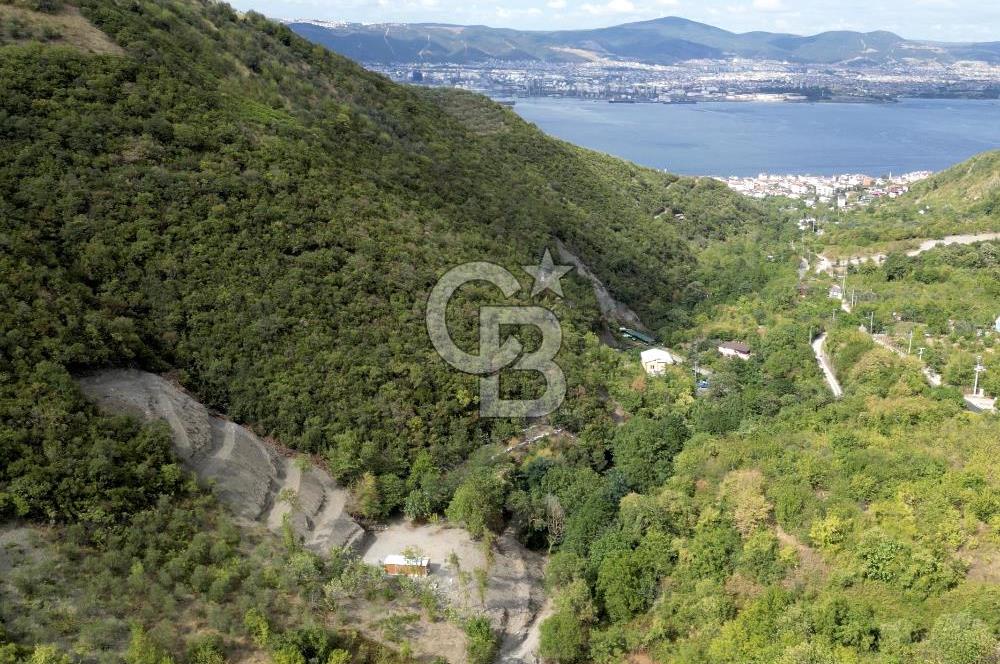 FIRSATTT TAKASLI GÖLCÜK KÖRFEZ'DE 3.5 DÖNÜM TARLA VE BAĞ EVİ