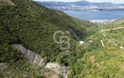 FIRSATTT TAKASLI GÖLCÜK KÖRFEZ'DE 3.5 DÖNÜM TARLA VE BAĞ EVİ