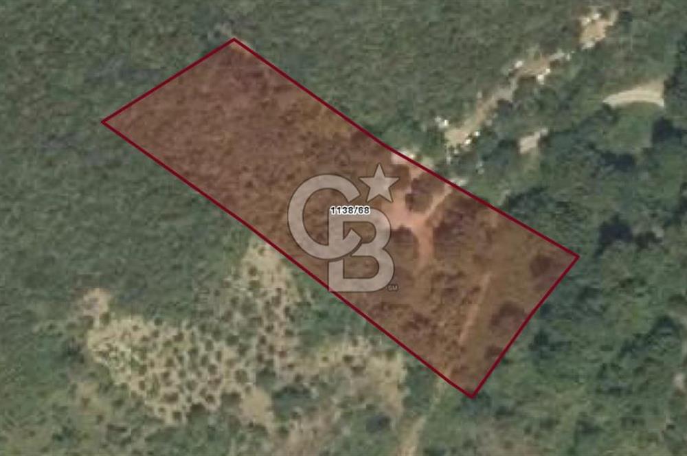 FIRSATTT TAKASLI GÖLCÜK KÖRFEZ'DE 3.5 DÖNÜM TARLA VE BAĞ EVİ