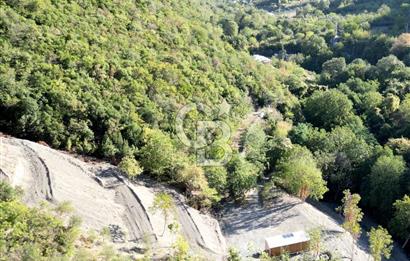 FIRSATTT TAKASLI GÖLCÜK KÖRFEZ'DE 3.5 DÖNÜM TARLA VE BAĞ EVİ