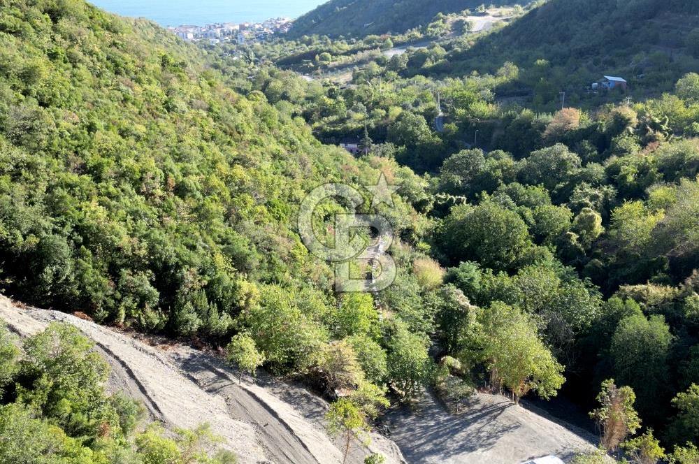 FIRSATTT TAKASLI GÖLCÜK KÖRFEZ'DE 3.5 DÖNÜM TARLA VE BAĞ EVİ