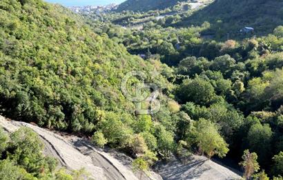 FIRSATTT TAKASLI GÖLCÜK KÖRFEZ'DE 3.5 DÖNÜM TARLA VE BAĞ EVİ