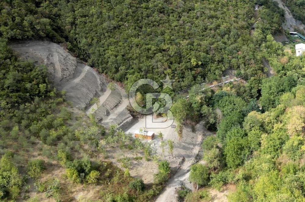 FIRSATTT TAKASLI GÖLCÜK KÖRFEZ'DE 3.5 DÖNÜM TARLA VE BAĞ EVİ