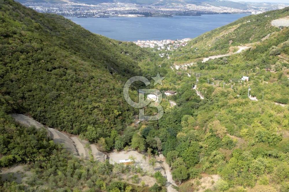 FIRSATTT TAKASLI GÖLCÜK KÖRFEZ'DE 3.5 DÖNÜM TARLA VE BAĞ EVİ
