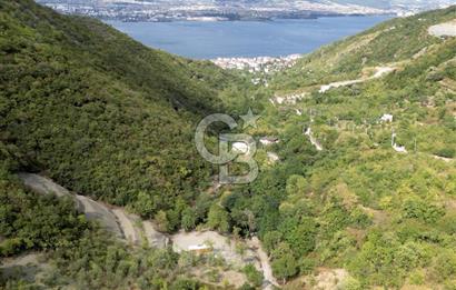 FIRSATTT TAKASLI GÖLCÜK KÖRFEZ'DE 3.5 DÖNÜM TARLA VE BAĞ EVİ