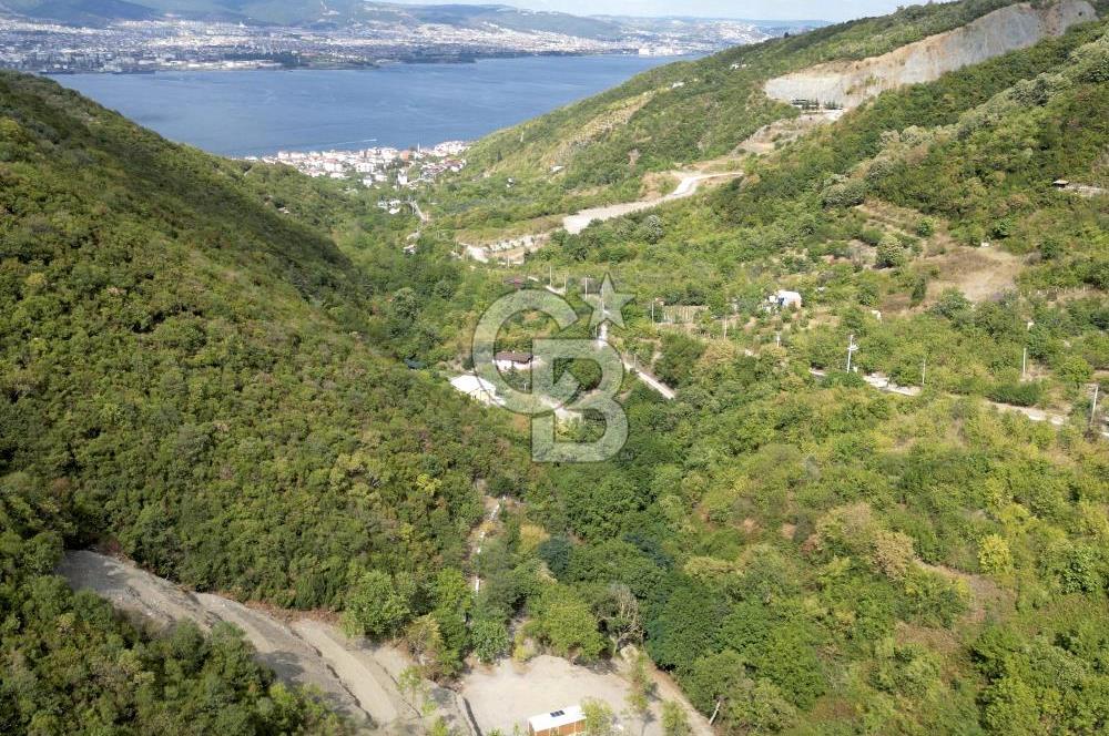 FIRSATTT TAKASLI GÖLCÜK KÖRFEZ'DE 3.5 DÖNÜM TARLA VE BAĞ EVİ