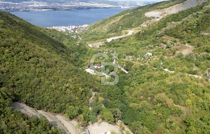 FIRSATTT TAKASLI GÖLCÜK KÖRFEZ'DE 3.5 DÖNÜM TARLA VE BAĞ EVİ