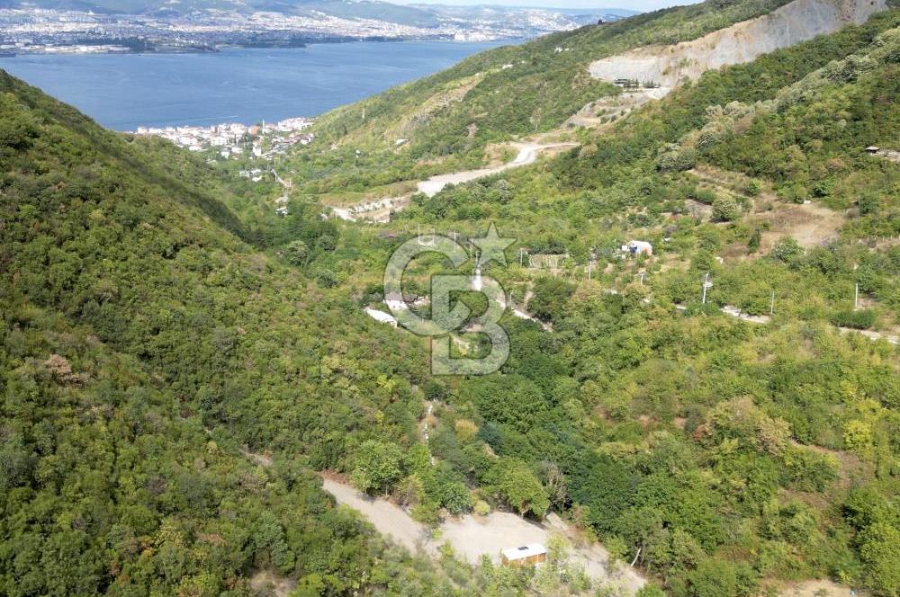 FIRSATTT TAKASLI GÖLCÜK KÖRFEZ'DE 3.5 DÖNÜM TARLA VE BAĞ EVİ