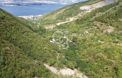 FIRSATTT TAKASLI GÖLCÜK KÖRFEZ'DE 3.5 DÖNÜM TARLA VE BAĞ EVİ