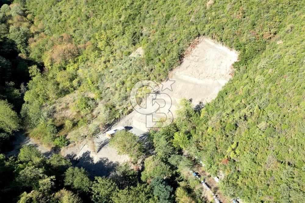 FIRSATTT TAKASLI GÖLCÜK KÖRFEZ'DE 3.5 DÖNÜM TARLA VE BAĞ EVİ