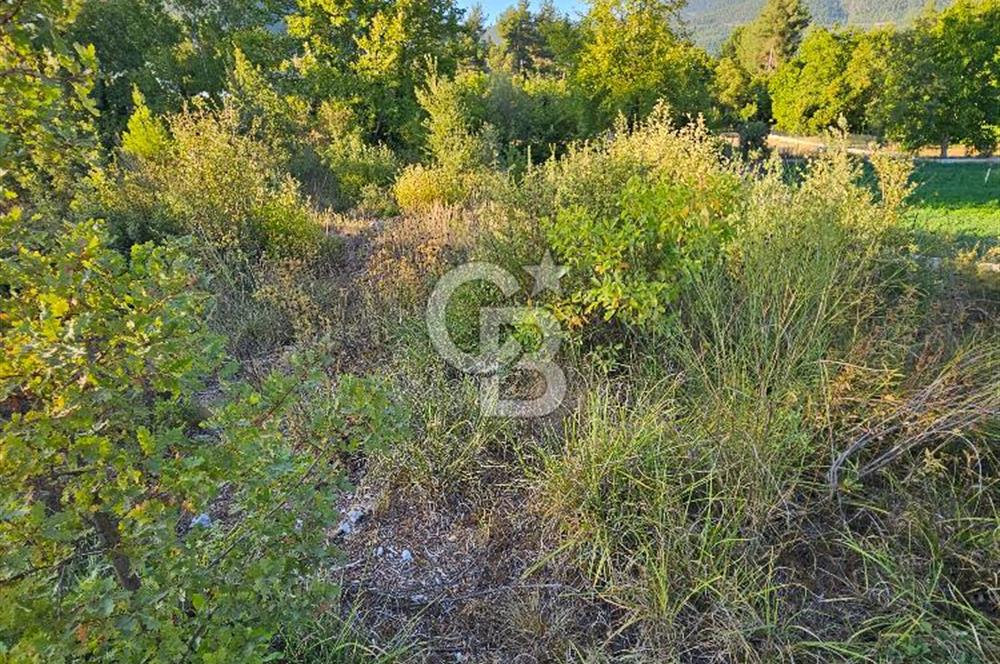 Serin Yayla Havasında Huzurlu Yaşam İçin Nif’te Satılık Arsa