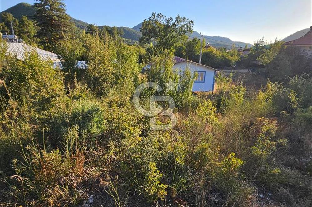 Serin Yayla Havasında Huzurlu Yaşam İçin Nif’te Satılık Arsa