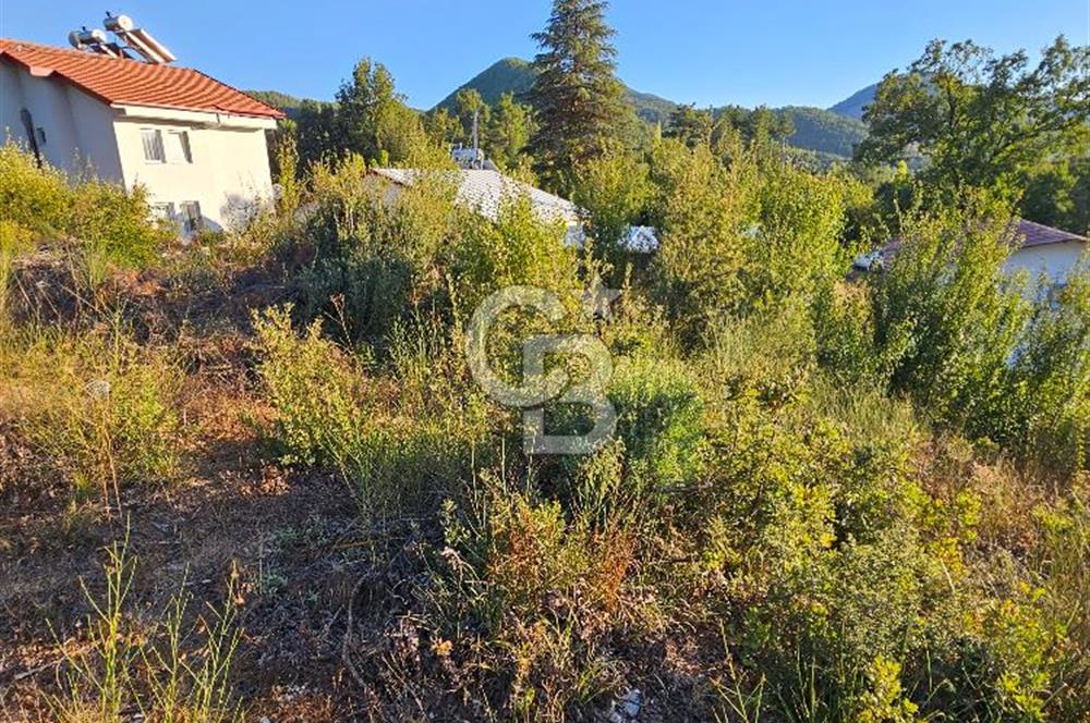 Serin Yayla Havasında Huzurlu Yaşam İçin Nif’te Satılık Arsa