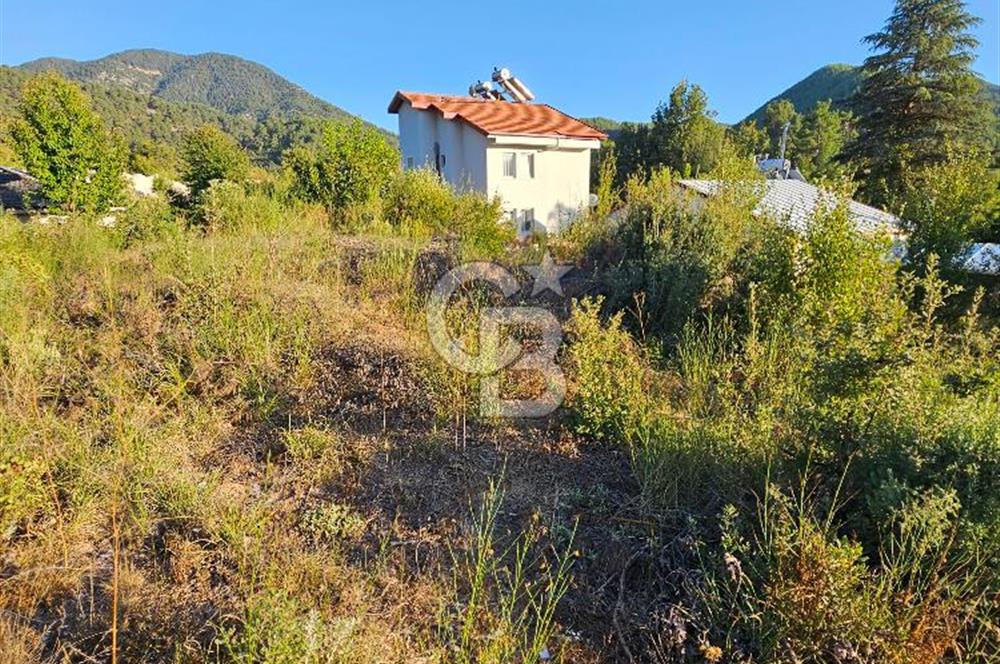 Serin Yayla Havasında Huzurlu Yaşam İçin Nif’te Satılık Arsa