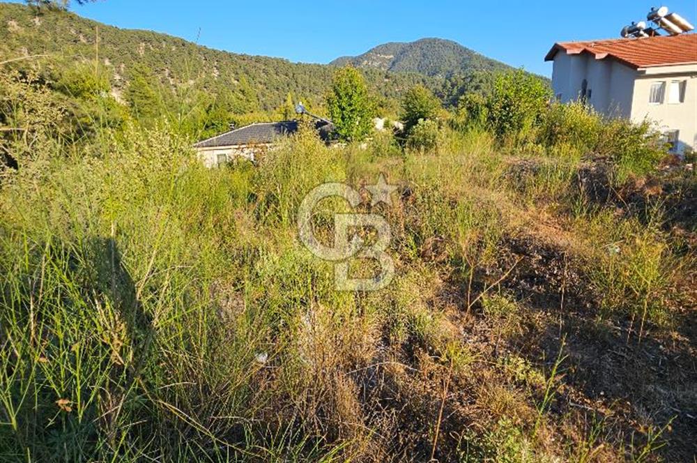 Serin Yayla Havasında Huzurlu Yaşam İçin Nif’te Satılık Arsa