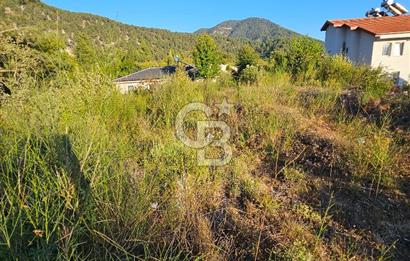Serin Yayla Havasında Huzurlu Yaşam İçin Nif’te Satılık Arsa