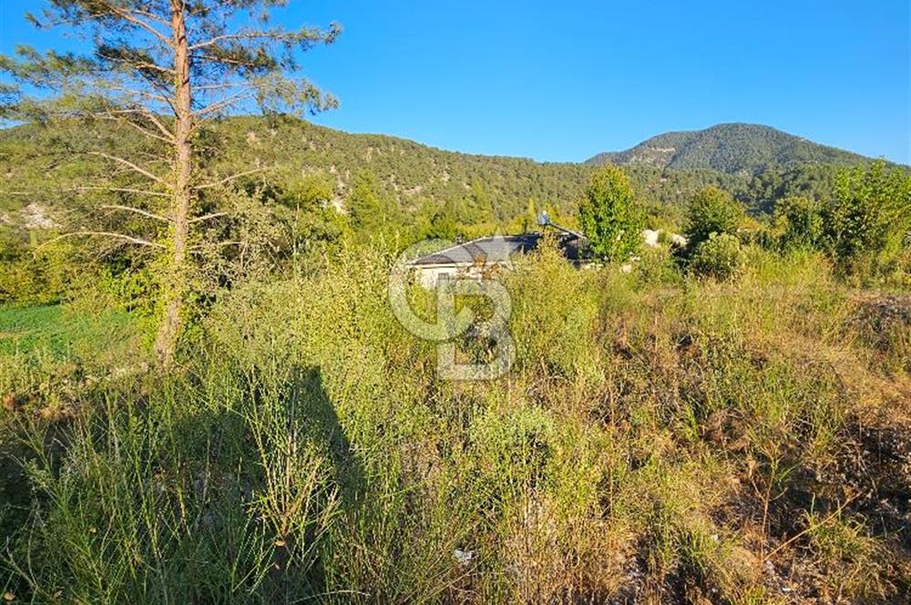 Serin Yayla Havasında Huzurlu Yaşam İçin Nif’te Satılık Arsa