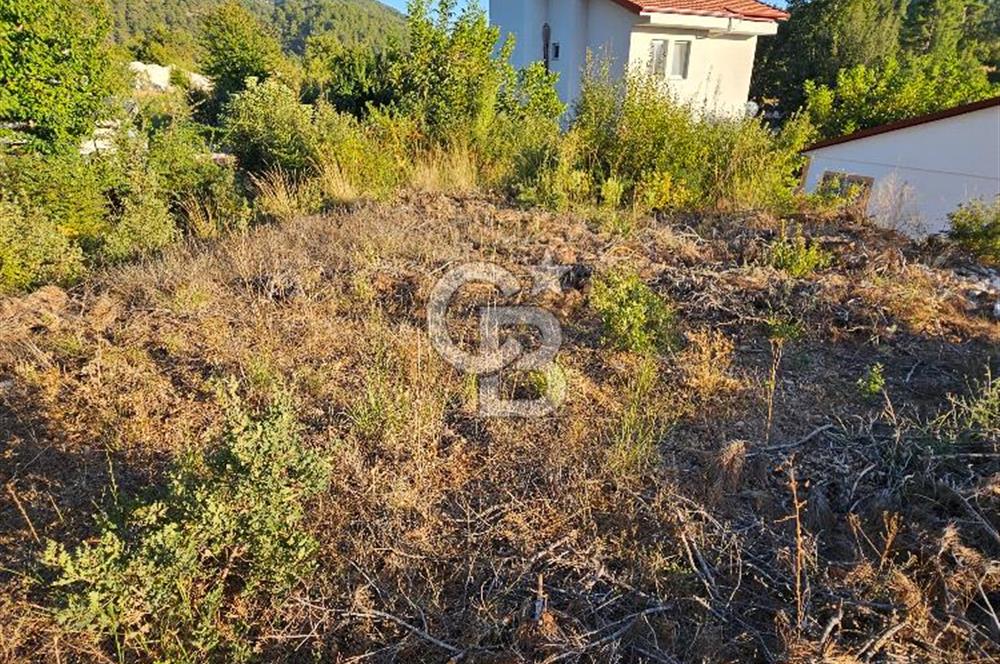 Serin Yayla Havasında Huzurlu Yaşam İçin Nif’te Satılık Arsa